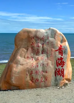 《丝绸之路青海道》：燃爆！看顶尖车手如何征服极限赛道，肾上腺素飙升！