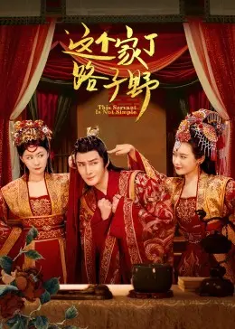《这个家丁路子野》：反套路家丁逆袭记！人性暗黑与温情并存，看得我又哭又笑！